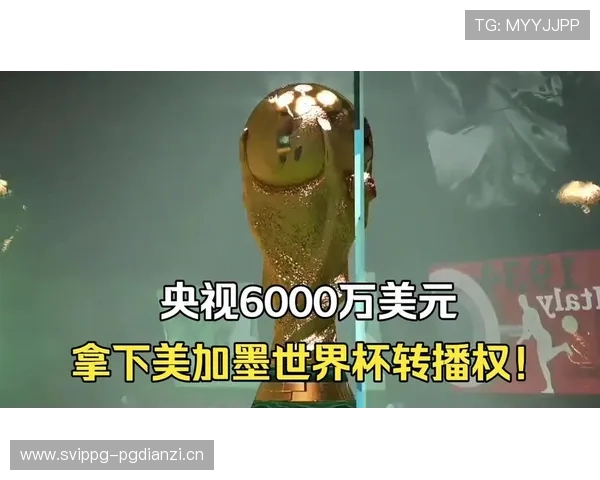 综合体育-赛场观察：央视6000万美元获2026世界杯等四届赛事转播权
